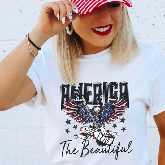 America The Beautiful Comfort Color Graphic Tee