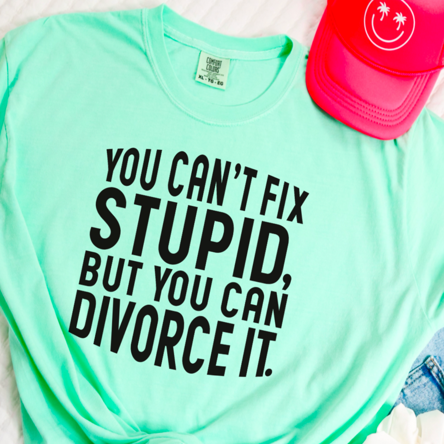 You Can’t Fix Stupid But You Can Divorce It Comfort Color Graphic Tee